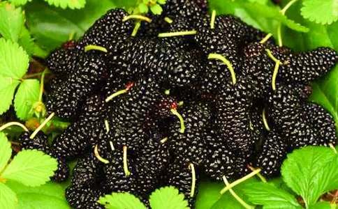 �ϼҵ�ɣ�ؘ����ģ�ͨ��27ƪ��