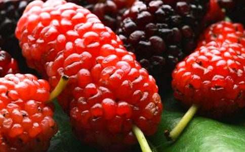 ��ɫɣ�ؠ���(d��ng)�ҵ���˼����