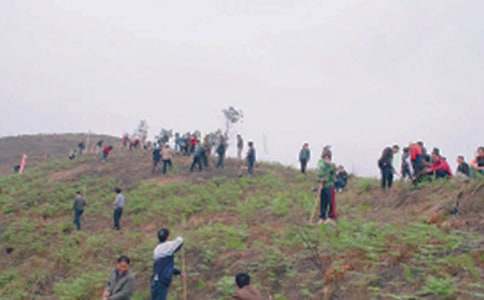 ������Ĺ������2ƪ