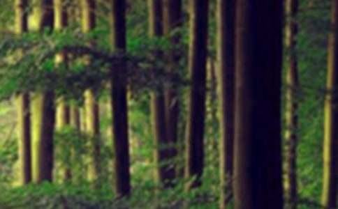 ���xɭ��ͯԒ(hu��)С�W(xu��)�����\��7ƪ