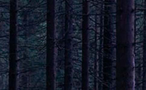 ���P(gu��n)ɭ��ͯԒС�W(xu��)�����\��9ƪ