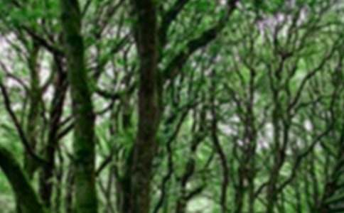 ���xɭ��ͯԒС�W(xu��)����300��4ƪ