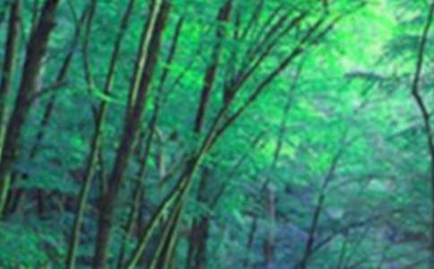 �P(gu��n)������ɭ��������800�֣�ͨ��5ƪ��