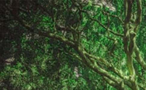 ���õ�ɭ��ͯԒС�W����7ƪ