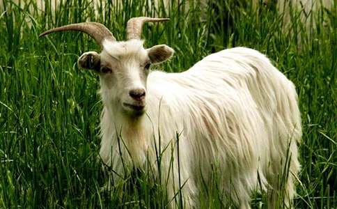 ɽ���c������600��-��