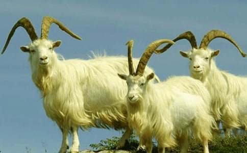 �Ǻ�ɽ������