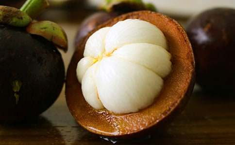 寫山竹與小動(dòng)物的作文600字左右