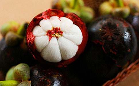 游南山竹海作文900字