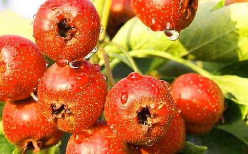 �P(gu��n)��ɽ高�(sh��)�����ģ�ͨ��16ƪ��