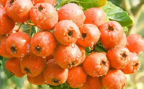 ��ɽ高���е�.ɢ���S�P