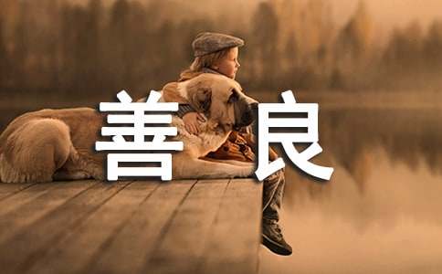 ����,��������������������