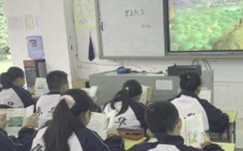 �������n�ĵ��w��14ƪ