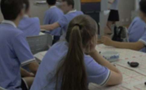 ��ְց�(l��i)���n����