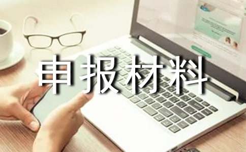 2017年鄉(xiāng)鎮(zhèn)團干部申報材料