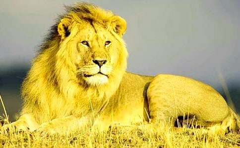 đС�Ī{��ͯԒ���ģ����x15ƪ��