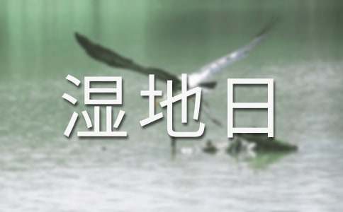 2025����������������(bi��o)�Z