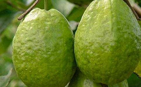 ʯ����������2000��