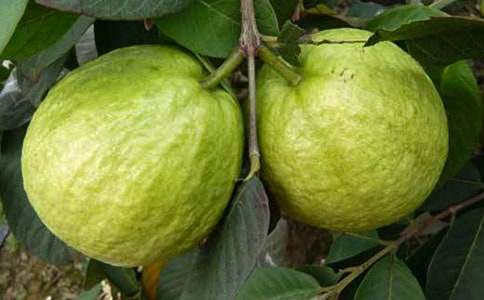 �����x��ʯ������400��52ƪ