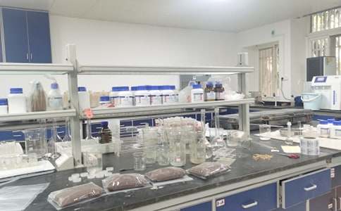 奇妙的實(shí)驗(yàn)室初一作文