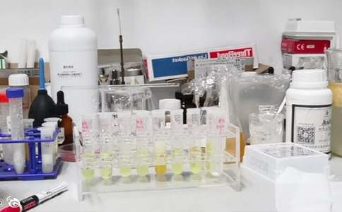 ��(sh��)�(y��n)�Ұ�ȫ�Բ��(b��o)��