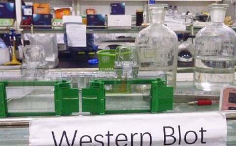 ��У��(sh��)�(y��n)�Ұ�ȫ�z���Բ��(b��o)�淶�ģ�ͨ��10ƪ��