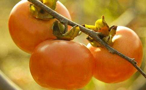 �^�����Ә�����300��