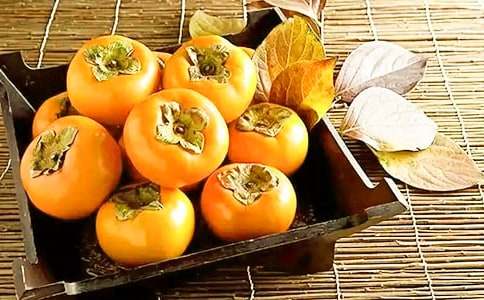 故鄉(xiāng)的柿子樹作文(通用36篇)