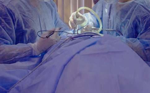 ���������g����2ƪ