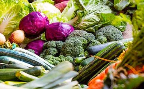 關于未來蔬菜作文7篇