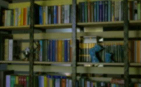 作文 我愛我的小書房