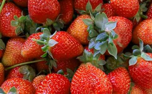 ˮ��ͯԒ������5ƪ