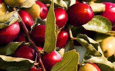 ��ˮ������