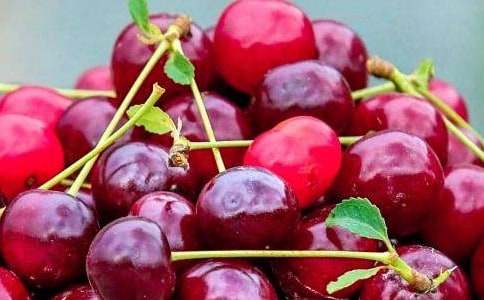 ����ϲ�g��һ�Nˮ������8ƪ