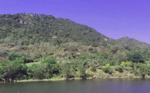 家鄉(xiāng)的虎山水庫作文