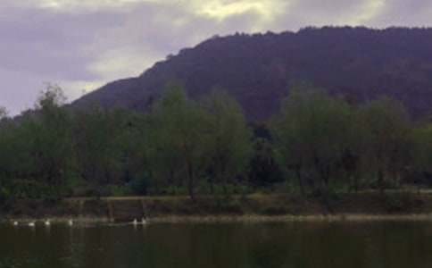 美麗的太湖水庫作文2篇