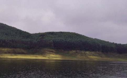 水庫作文600字(精選39篇)