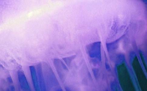 ˮĸ����400��10ƪ