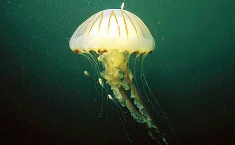 �^��ˮĸ������