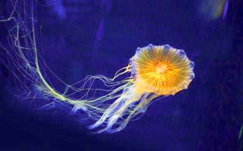 �^��ˮĸ������4ƪ