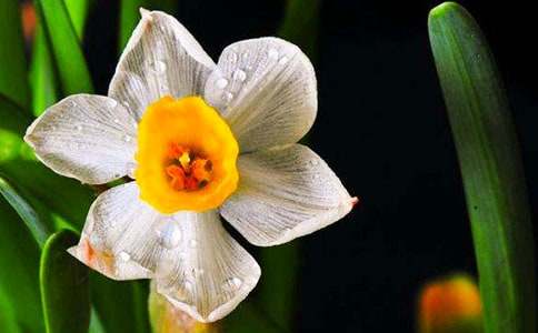 ���l(xi��ng)��ˮ��_800��-��������500��