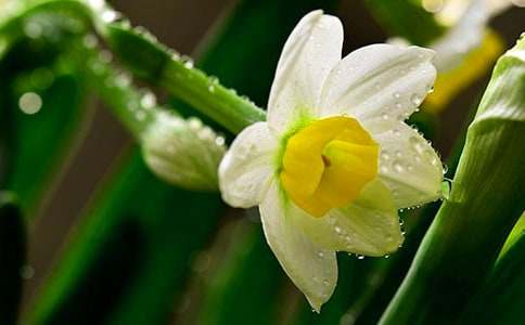 ����۵Ļ�����ˮ������