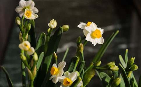 ��(sh��)�õ�ˮ������600��