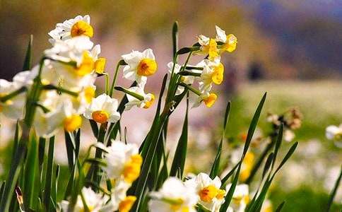 ��(du��)ˮ�ɻ����^������