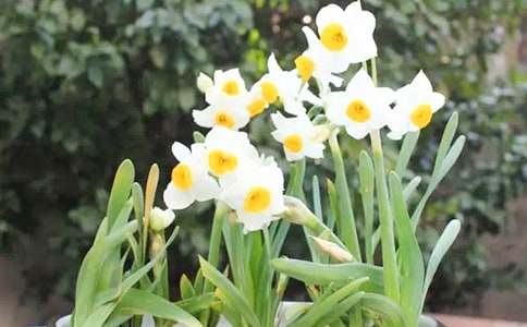 �����^��ˮ�ɻ�