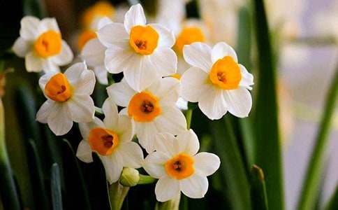 �^��ˮ�ɻ�����ͨ��15ƪ