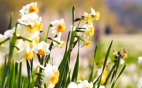 �^��ˮ�ɻ�����