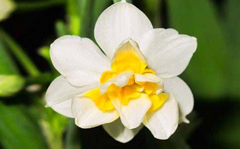 ��ˮ�ɻ������}�ă�(y��u)������