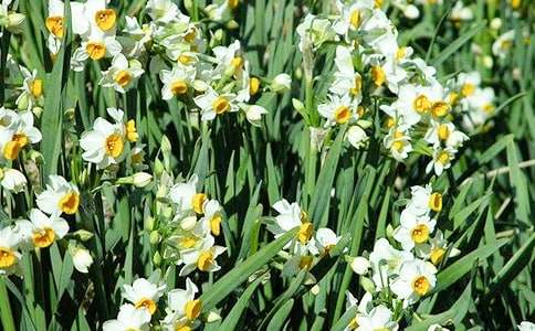 �^�����ģ�ˮ�ɻ�