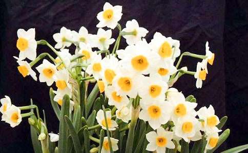 �^��ˮ�ɻ�����350��