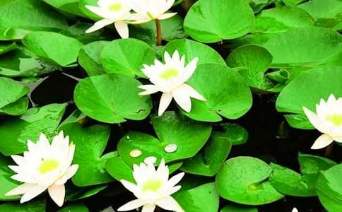 ˯ɏ���_(k��i)������x���⸽��